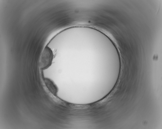 X0000090781440200708172119
