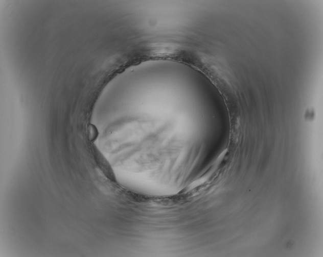 X0000090781441200708172118