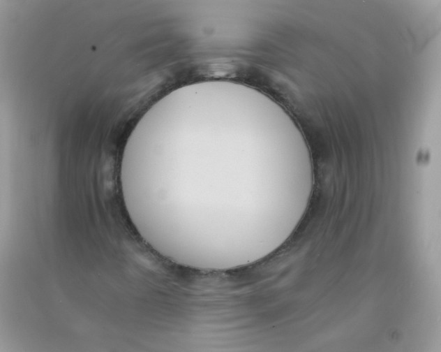 X0000090781442200708172118