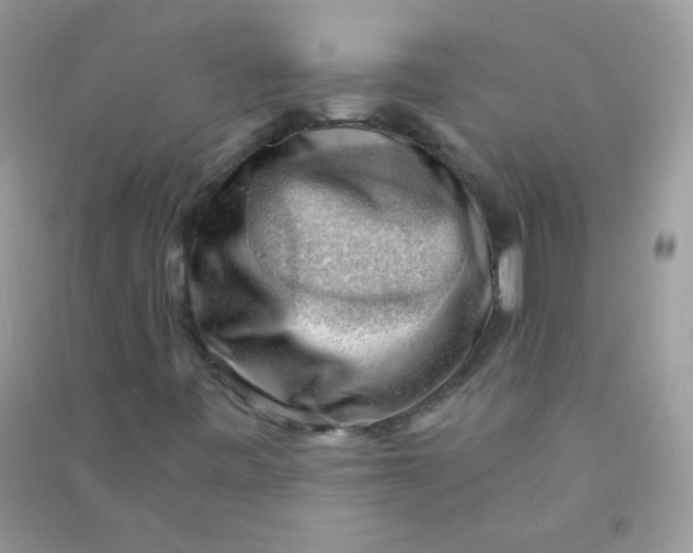 X0000090781443200708172118