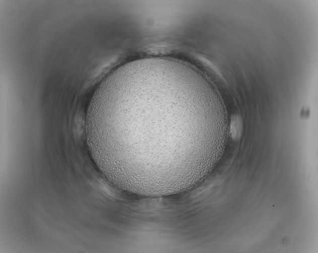 X0000090781444200708172118