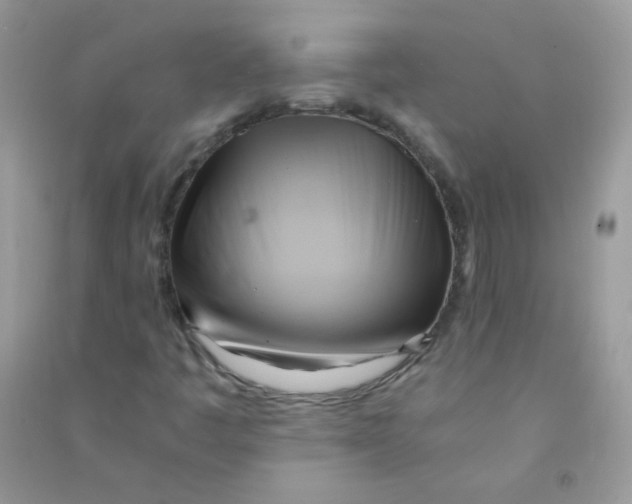X0000090781445200708172118