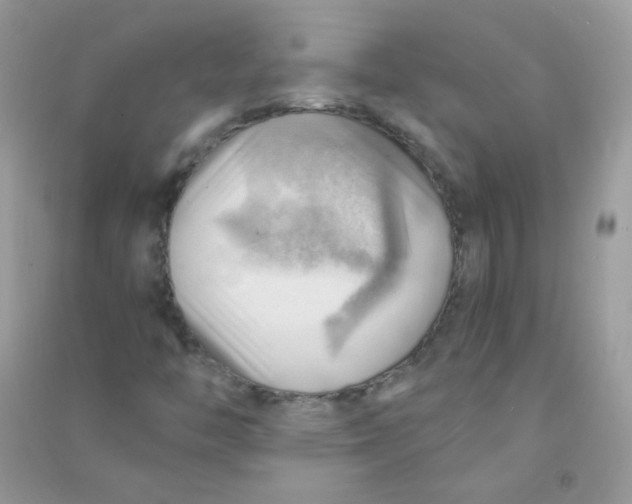 X0000090781446200708172118