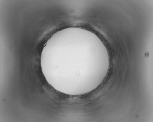 X0000090781447200708172118