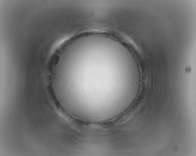 X0000090781448200708172118