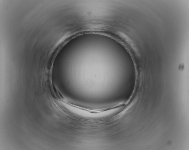 X0000090781449200708172118