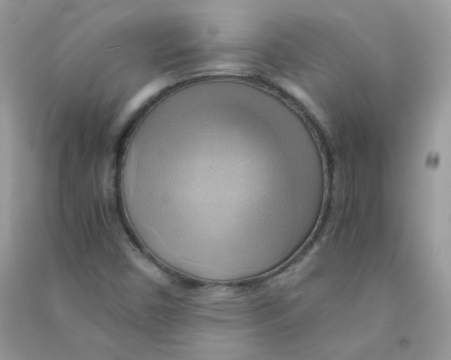 X0000090781450200708172118