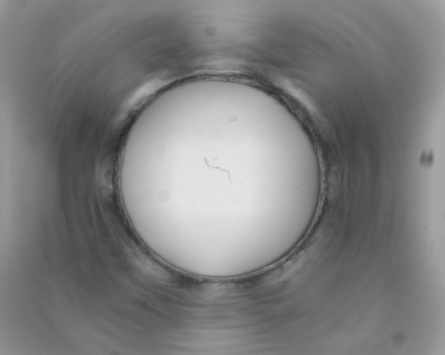 X0000090781451200708172118