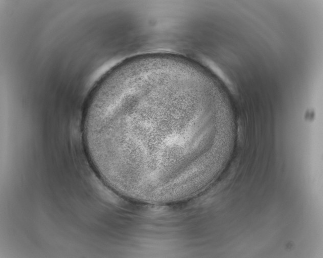 X0000090781452200708172118