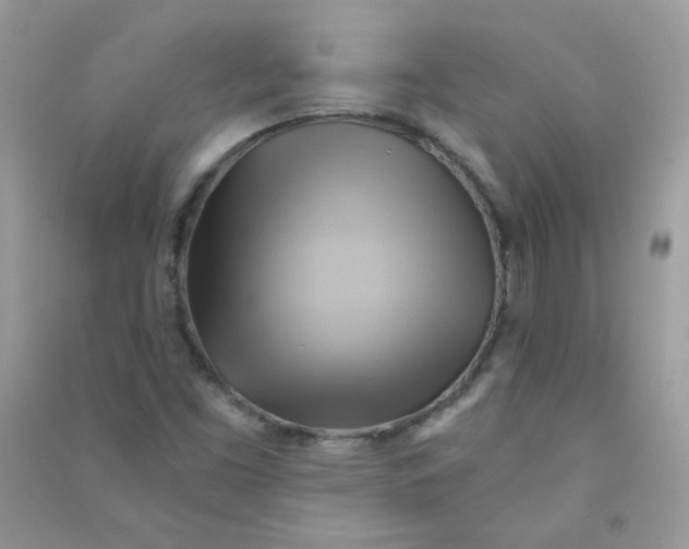 X0000090781453200708172118