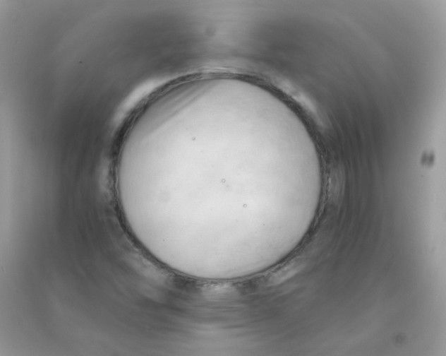 X0000090781454200708172118