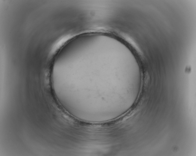 X0000090781455200708172118