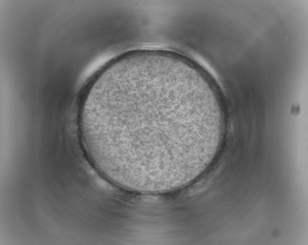 X0000090781456200708172118