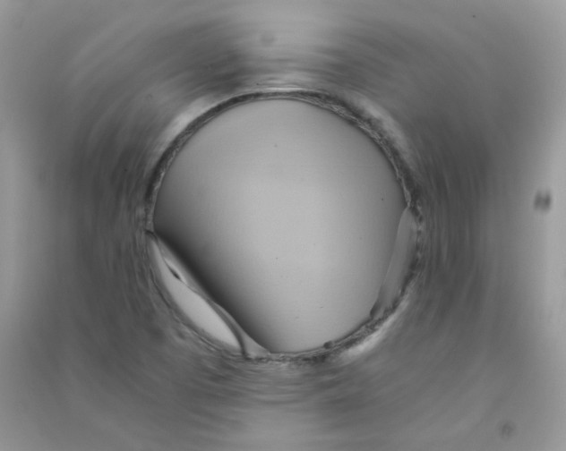 X0000090781457200708172118