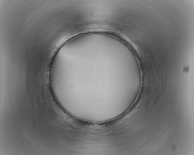 X0000090781459200708172118
