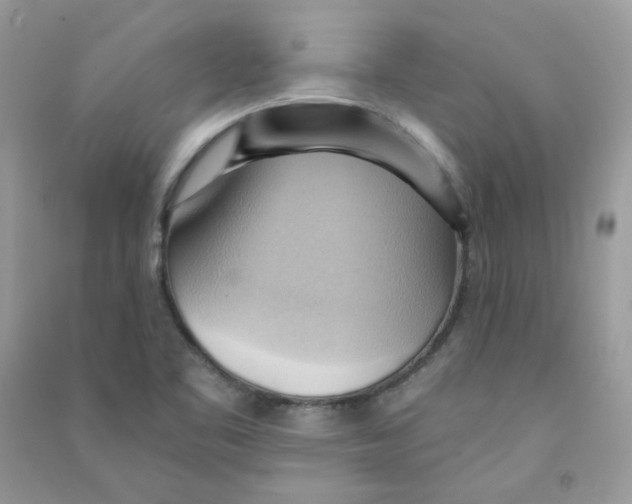 X0000090781461200708172118