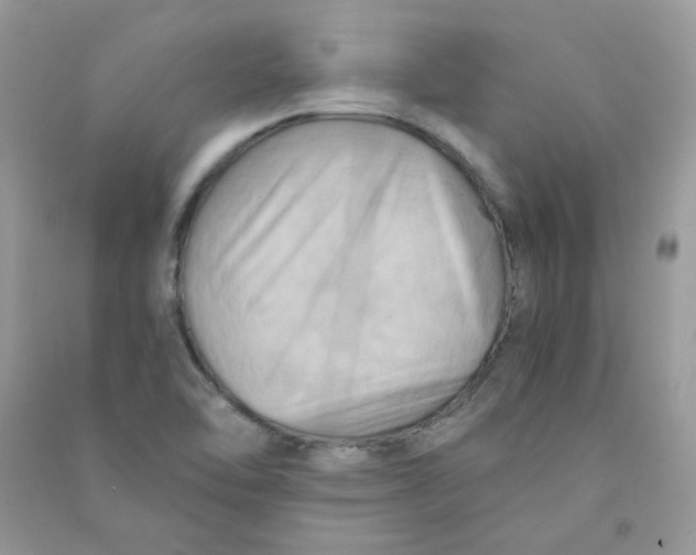 X0000090781462200708172118