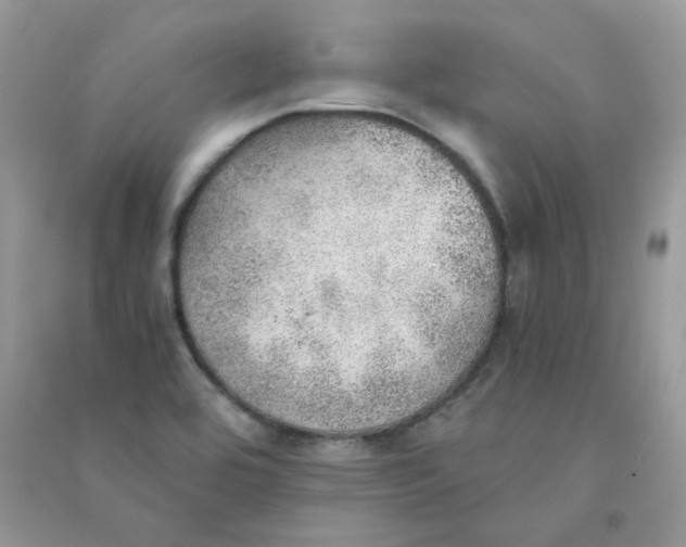 X0000090781464200708172118