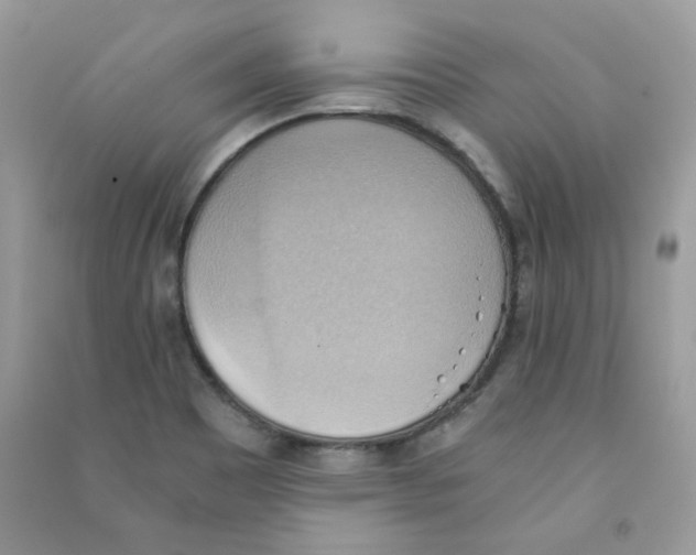 X0000090781465200708172118
