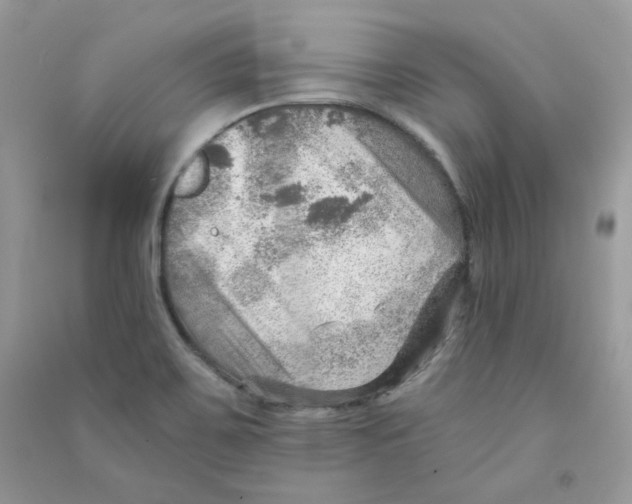 X0000090781467200708172118