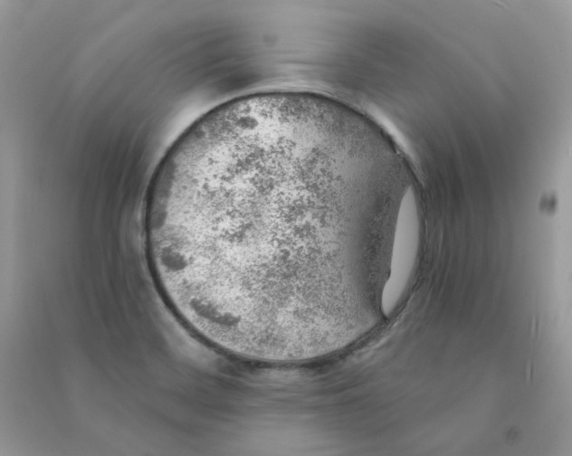X0000090781468200708172118