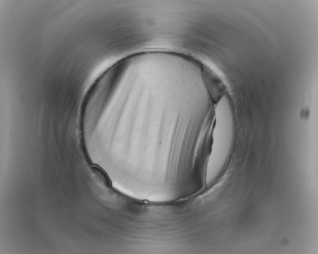 X0000090781469200708172118