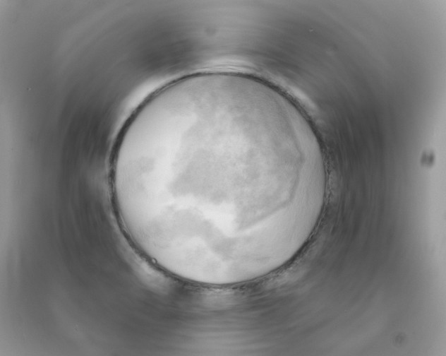 X0000090781470200708172118