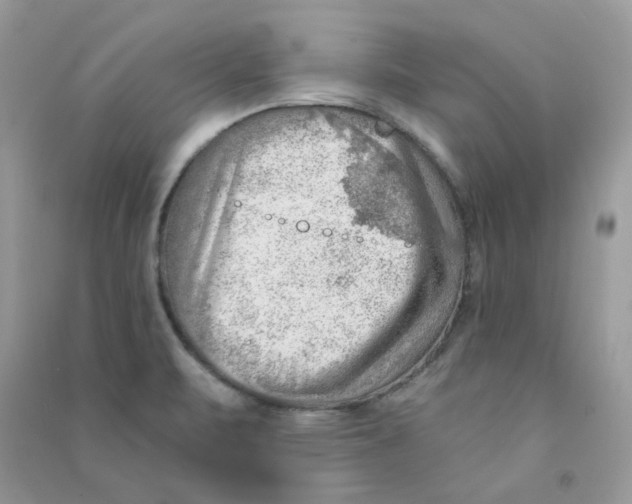 X0000090781471200708172118