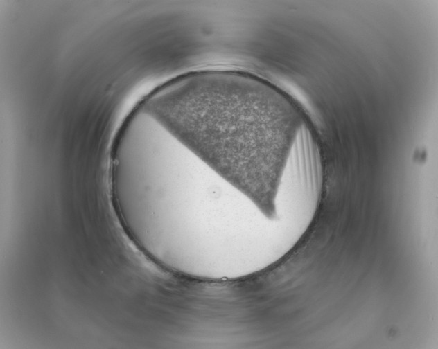 X0000090781472200708172118