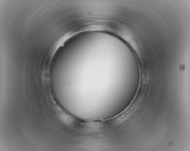 X0000090781473200708172118