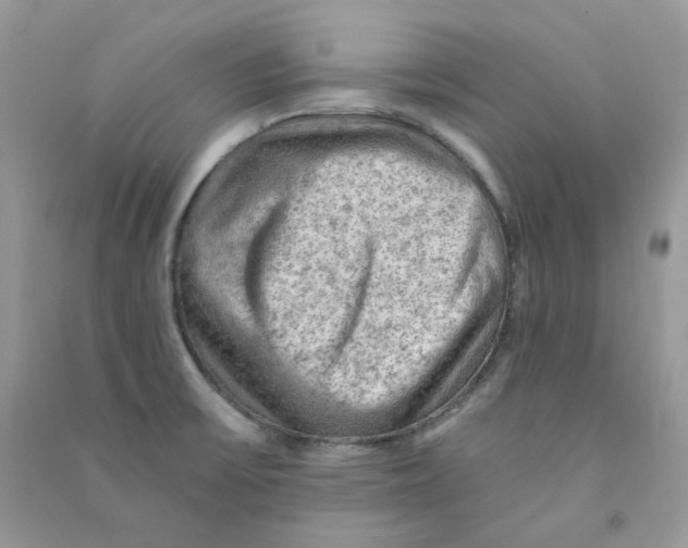 X0000090781475200708172118