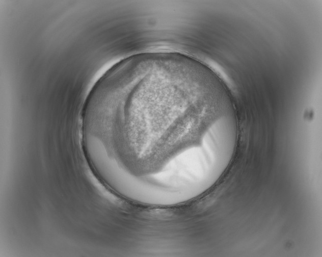 X0000090781476200708172118