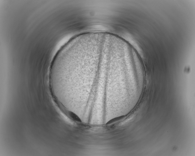 X0000090781477200708172118
