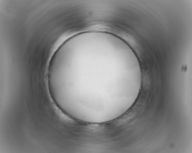 X0000090781478200708172118