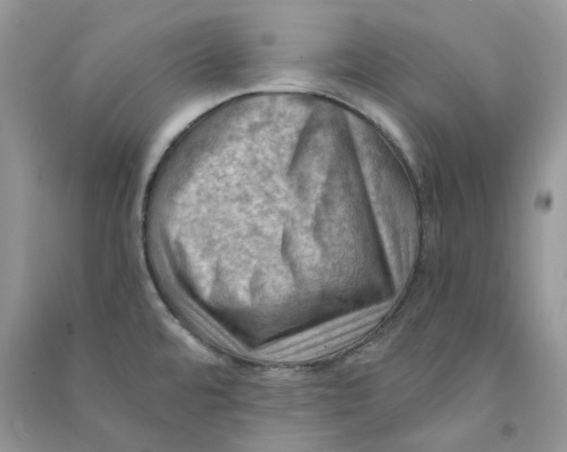 X0000090781480200708172118