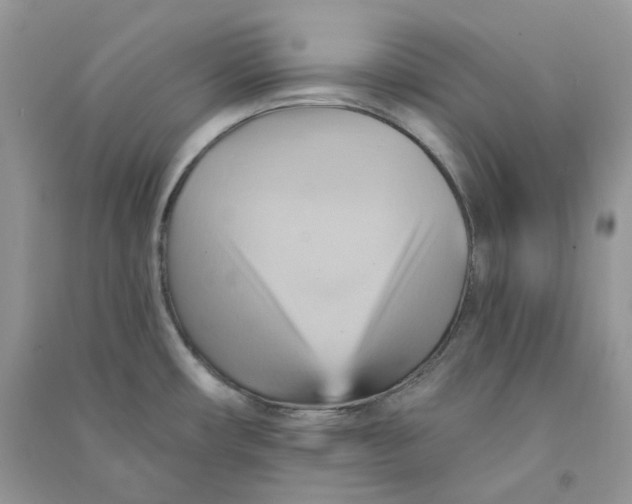 X0000090781482200708172118