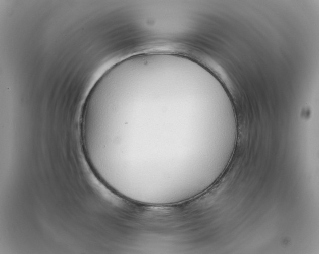 X0000090781483200708172118