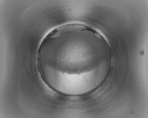 X0000090781484200708172118