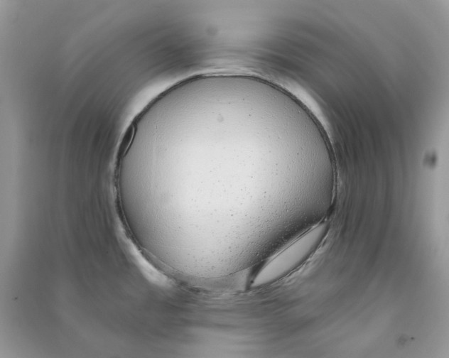 X0000090781485200708172118