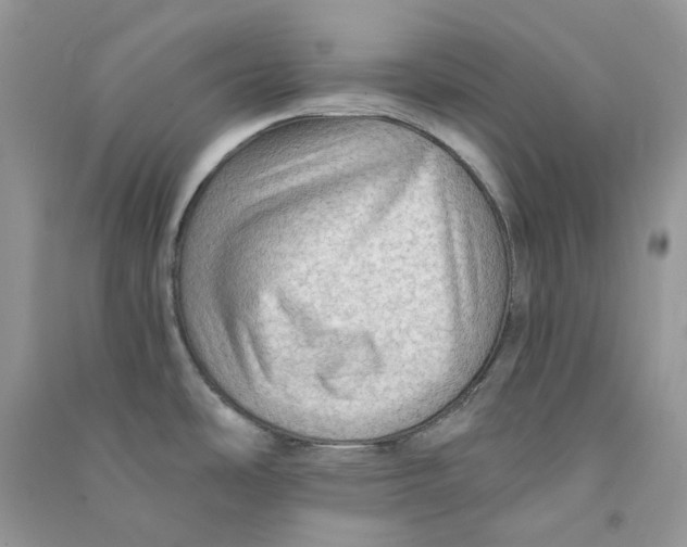 X0000090781486200708172118