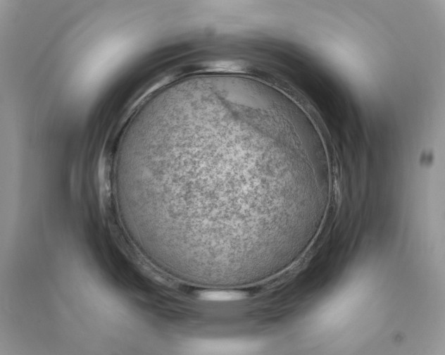 X0000090781487200708172118