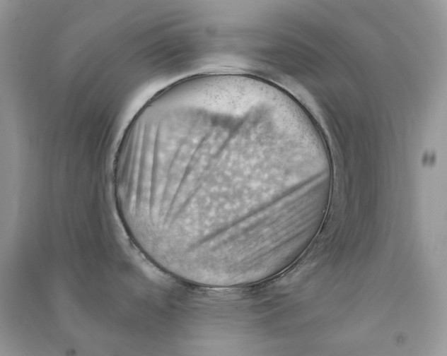 X0000090781488200708172118