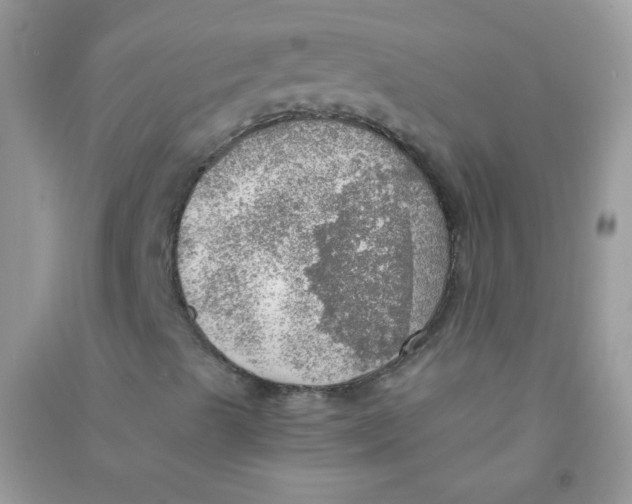 X0000090781489200708172117