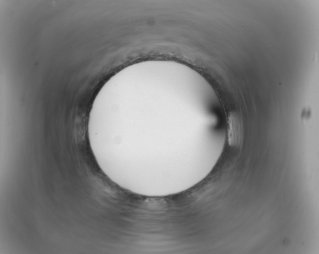 X0000090781491200708172117