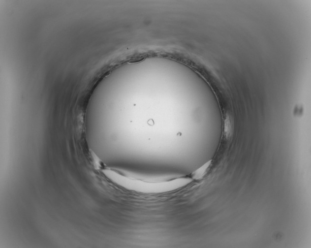 X0000090781492200708172117