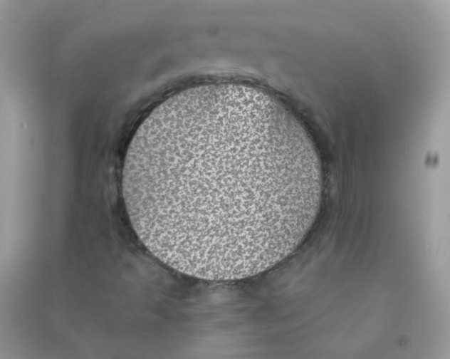 X0000090781493200708172117