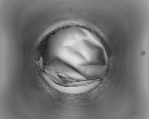X0000090781496200708172117