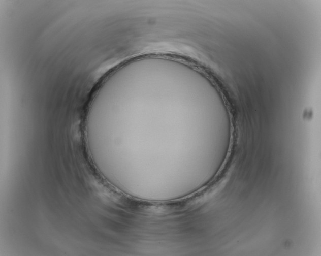 X0000090781497200708172117