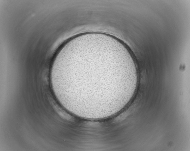 X0000090781499200708172117