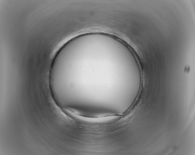 X0000090781500200708172117